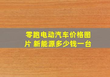 零跑电动汽车价格图片 新能源多少钱一台